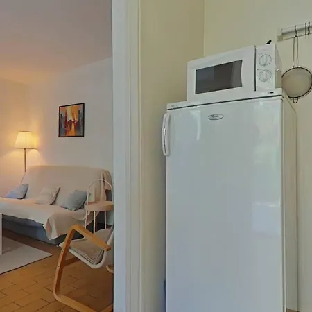 T2 Avec Terrasse Et Parking Prive Au Port De - Fr-1-826-20